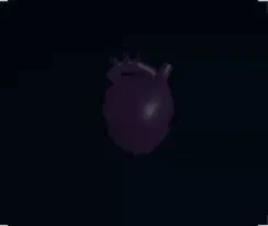 Void Heart